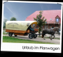 Bild vergrössern